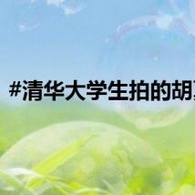 #清华大学生拍的胡夏#