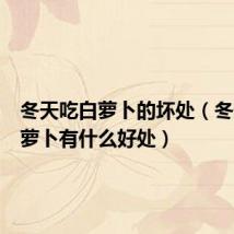 冬天吃白萝卜的坏处(冬天吃白萝卜有什么好处)