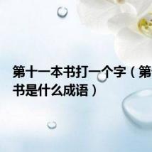 第十一本书打一个字(第十一本书是什么成语)