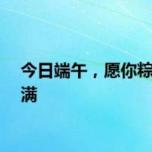 今日端午，愿你粽享美满