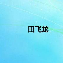 田飞龙