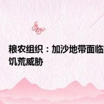 粮农组织：加沙地带面临大规模饥荒威胁