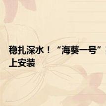 稳扎深水！“海葵一号”完成海上安装