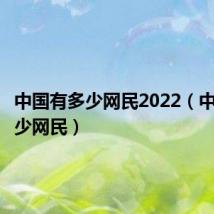 中国有多少网民2022(中国有多少网民)