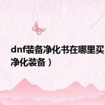 dnf装备净化书在哪里买(dnf净化装备)