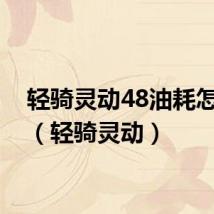 轻骑灵动48油耗怎么样(轻骑灵动)