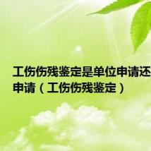 工伤伤残鉴定是单位申请还是个人申请(工伤伤残鉴定)