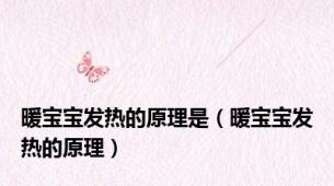 暖宝宝发热的原理是（暖宝宝发热的原理）