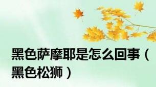 黑色萨摩耶是怎么回事（黑色松狮）