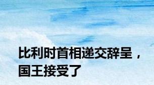 比利时首相递交辞呈，国王接受了