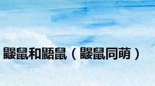 鼹鼠和鼯鼠（鼹鼠同萌）