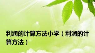 利润的计算方法小学（利润的计算方法）