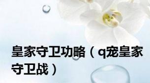 皇家守卫功略（q宠皇家守卫战）