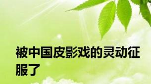 被中国皮影戏的灵动征服了