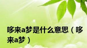 哆来a梦是什么意思（哆来a梦）