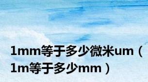 1mm等于多少微米um（1m等于多少mm）