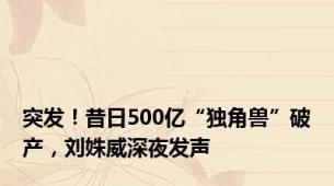 突发！昔日500亿“独角兽”破产，刘姝威深夜发声