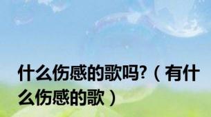 什么伤感的歌吗?（有什么伤感的歌）