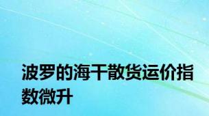 波罗的海干散货运价指数微升