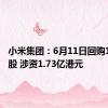 小米集团：6月11日回购1000万股 涉资1.73亿港元