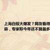 上海白蚁大爆发？网友看得头皮发麻，专家称今年还不算最多