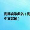 海豚音歌曲名（海豚音中文歌词）