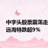 中字头股票震荡走低 中远海特跌超9%