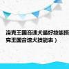 洛克王国音速犬最好技能搭配（洛克王国音速犬技能表）