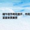 端午佳节荷花盛开，市民游客纷至沓来赏美景