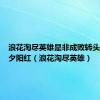 浪花淘尽英雄是非成败转头空几度夕阳红（浪花淘尽英雄）