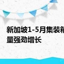 新加坡1-5月集装箱吞吐量强劲增长