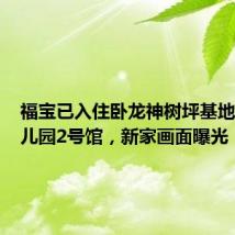 福宝已入住卧龙神树坪基地熊猫幼儿园2号馆，新家画面曝光