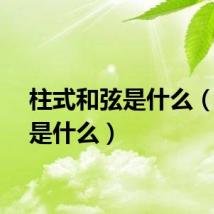 柱式和弦是什么（和弦是什么）