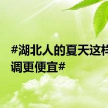 #湖北人的夏天这样买空调更便宜#