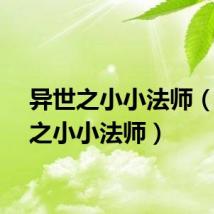 异世之小小法师（异界之小小法师）
