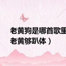 老黄狗是哪首歌里的（老黄够趴体）