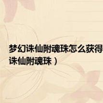梦幻诛仙附魂珠怎么获得(梦幻诛仙附魂珠)