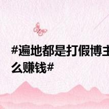 #遍地都是打假博主靠什么赚钱#