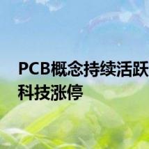 PCB概念持续活跃 骏亚科技涨停