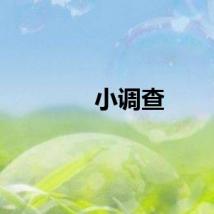 小调查
