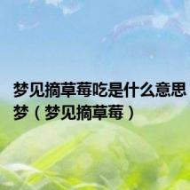 梦见摘草莓吃是什么意思 周公解梦(梦见摘草莓)