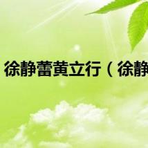 徐静蕾黄立行（徐静蕾）