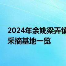 2024年余姚梁弄镇杨梅采摘基地一览