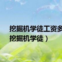 挖掘机学徒工资多少（挖掘机学徒）