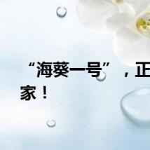 “海葵一号”，正式安家！