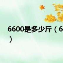 6600是多少斤(6600s)