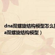 dna双螺旋结构模型怎么拼(dna双螺旋结构模型)