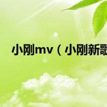 小刚mv（小刚新歌）