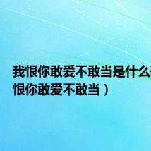我恨你敢爱不敢当是什么歌(我恨你敢爱不敢当)