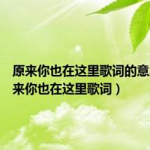 原来你也在这里歌词的意思(原来你也在这里歌词)